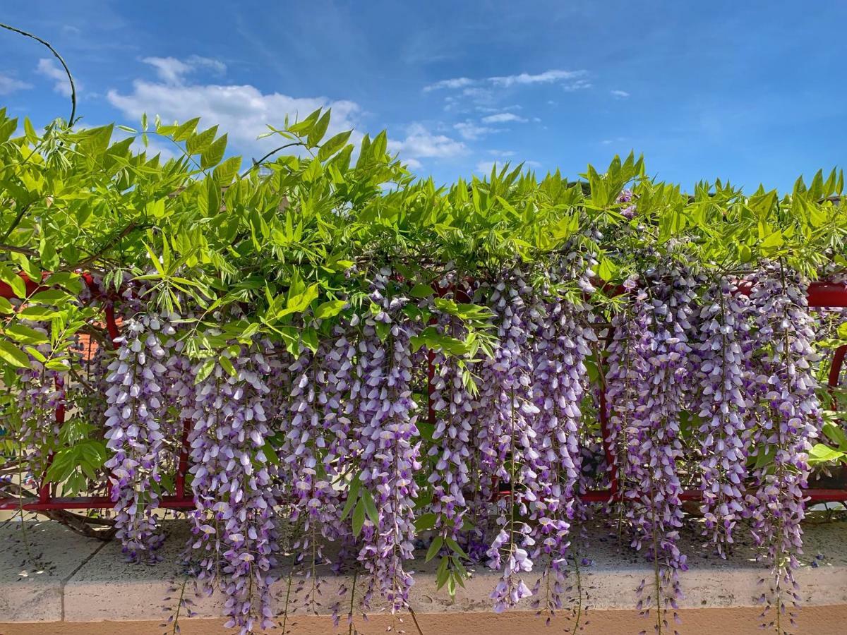 Corso Emanuele Apartments San Vincenzo Zewnętrze zdjęcie